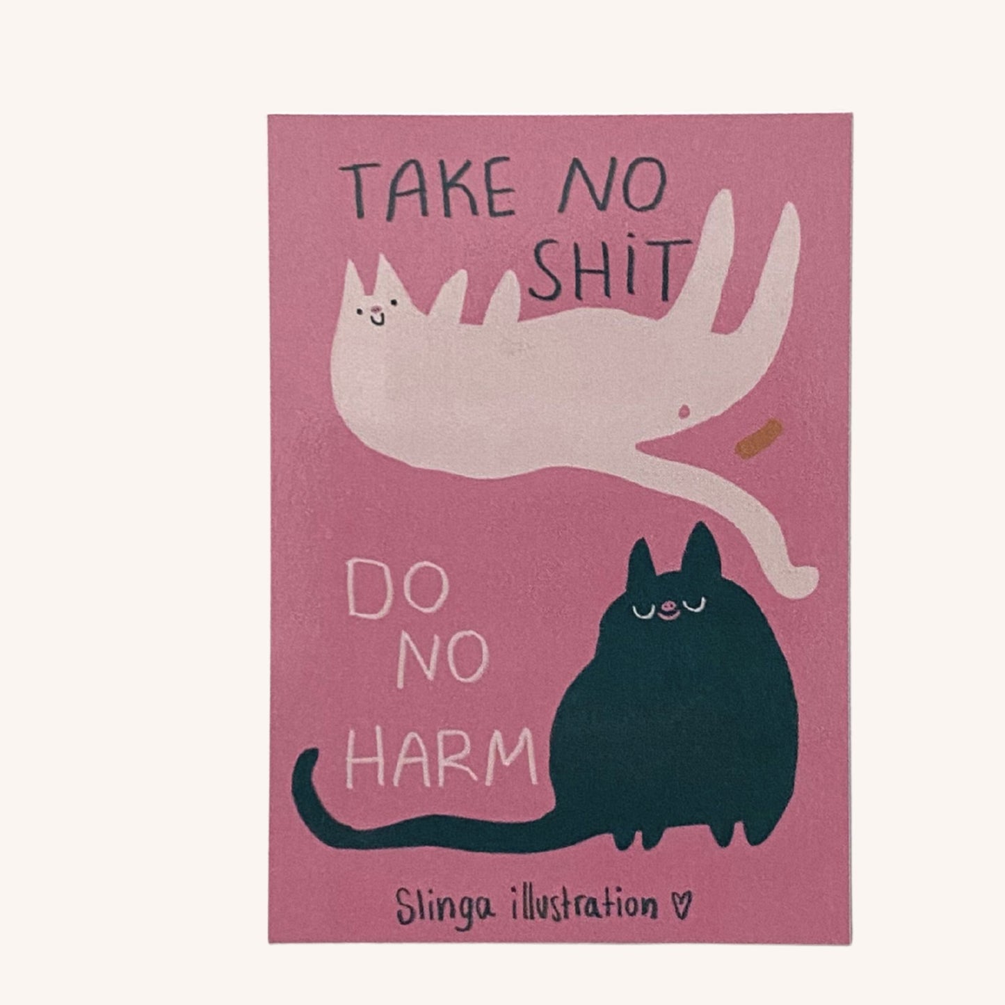 Take No Shit Do No Harm - Sticker