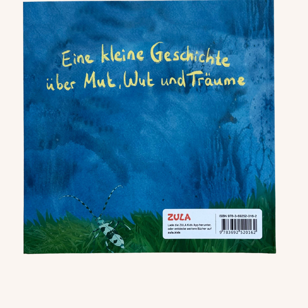 Noa und der Feuertiger